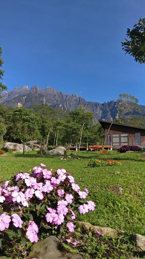 Hotel Spring Garden Kampong Kundassan Zewnętrze zdjęcie