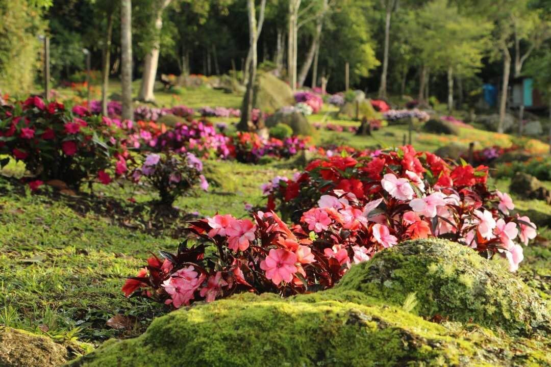 Hotel Spring Garden Kampong Kundassan Zewnętrze zdjęcie